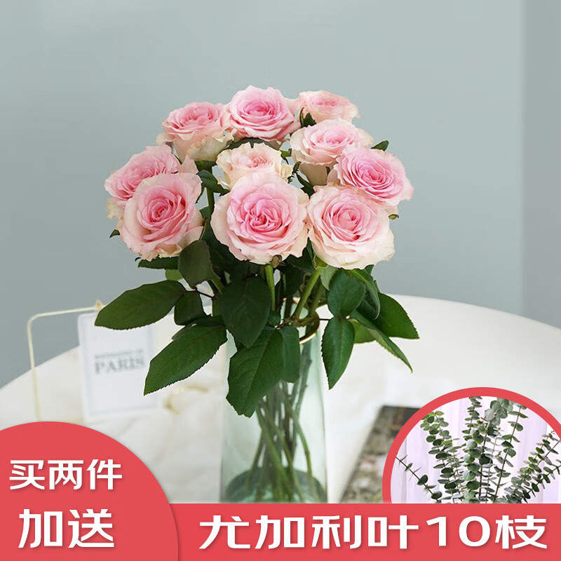 简势（jianshi）鲜切花品质玫瑰花鲜花生日礼物女云南昆明斗南鲜切花基地直发 玫瑰10支-随机色高性价比高么？