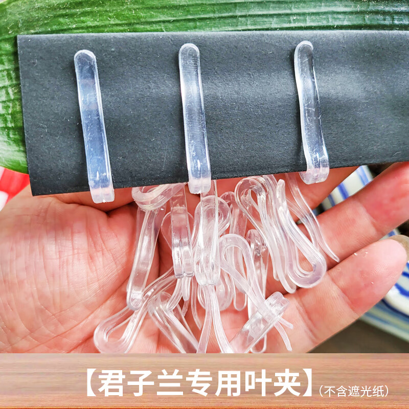 君子兰叶片器专用夹子定型修型扶正线整形遮光纸工具 君子兰叶夹-30个