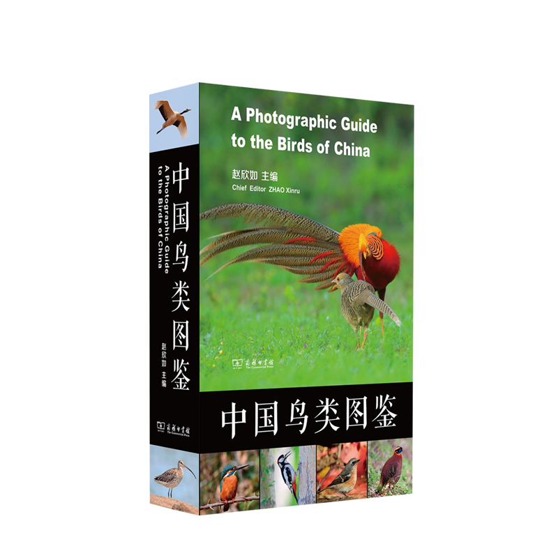 包邮 中国鸟类图鉴 赵欣如 著 中信书店