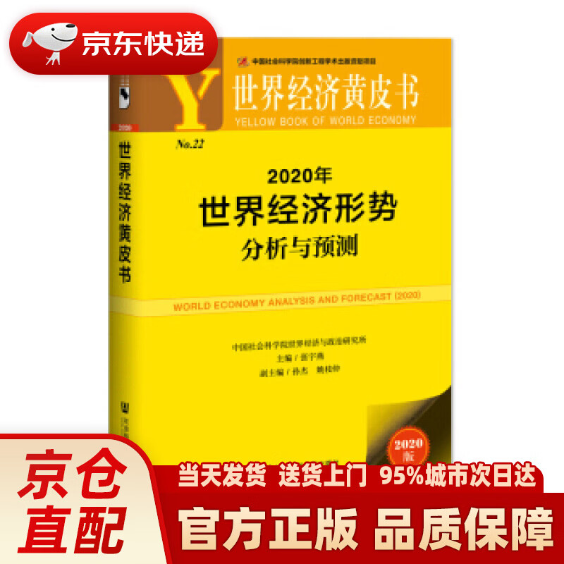 世界经济黄皮书:2020年世界经济形势分析与预测 张宇燕,孙杰,姚枝仲