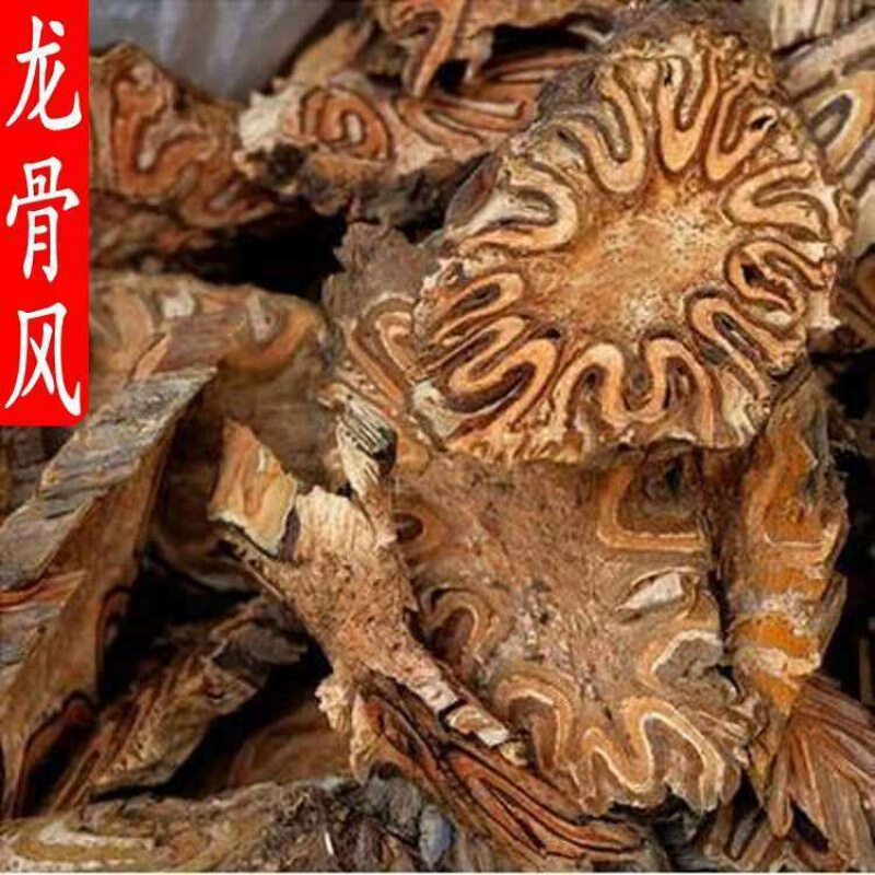 桫椤 飞天擒罗山卡捞劳禽捞药食滋补飞天蠄蟧 精选龙骨风500克