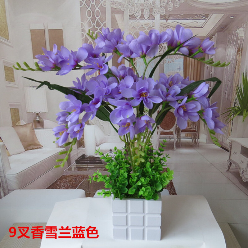 浅灰色 9叉香雪兰蓝色