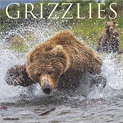【预订】grizzlies 2020 wall calendar