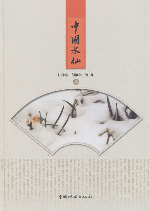 中国水仙 家居 书籍