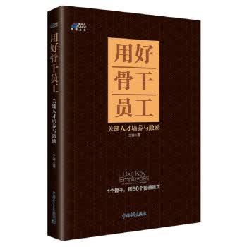 用好骨干员工：关键人才培养与激励 王敏