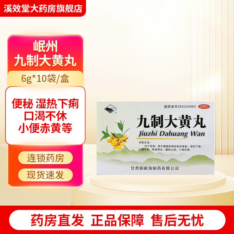 [岷州] 九制大黄丸 6g*10袋/盒 便秘 湿热下痢 口渴不休 胸热心烦
