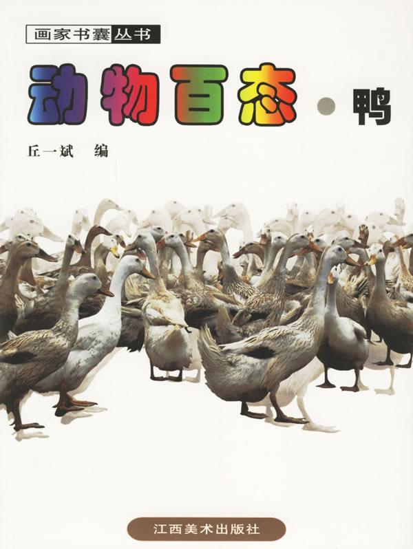 动物百态·鸭
