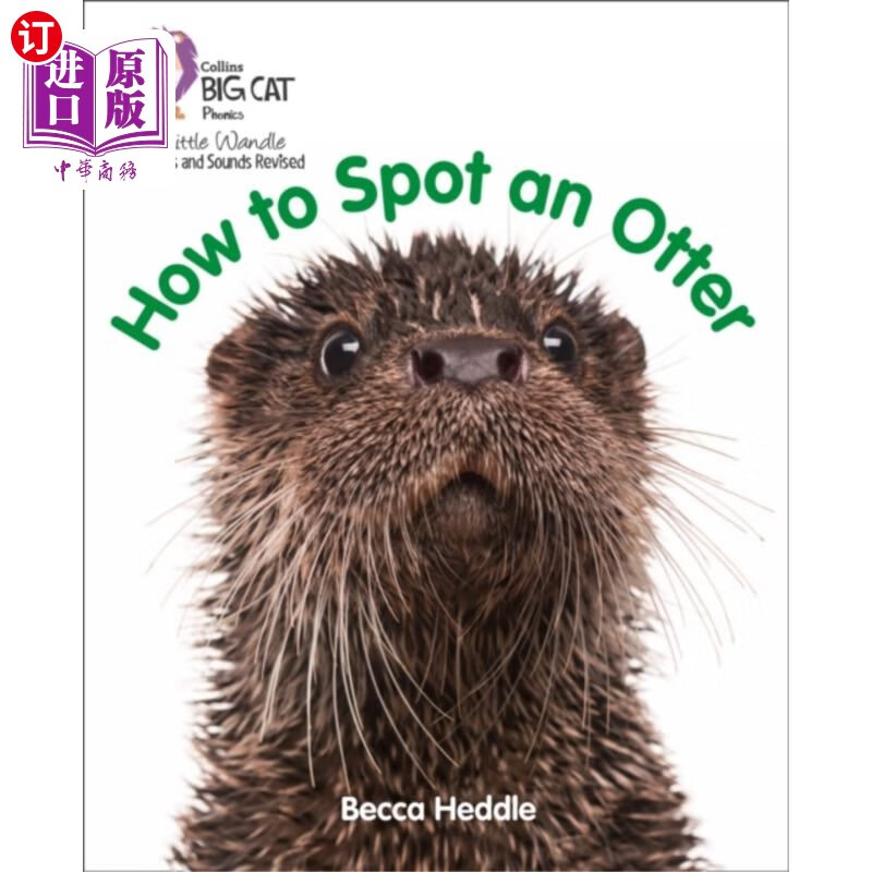 海外直订how to spot an otter 如何发现水獭