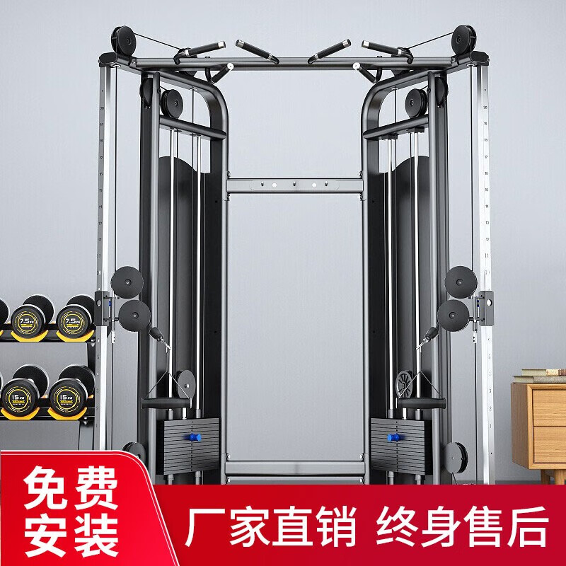 TEZEWA 大飛鳥綜合訓練器 引體向上力量器械多功能龍門架商用健身器 XH-05C橢圓管小飛鳥
