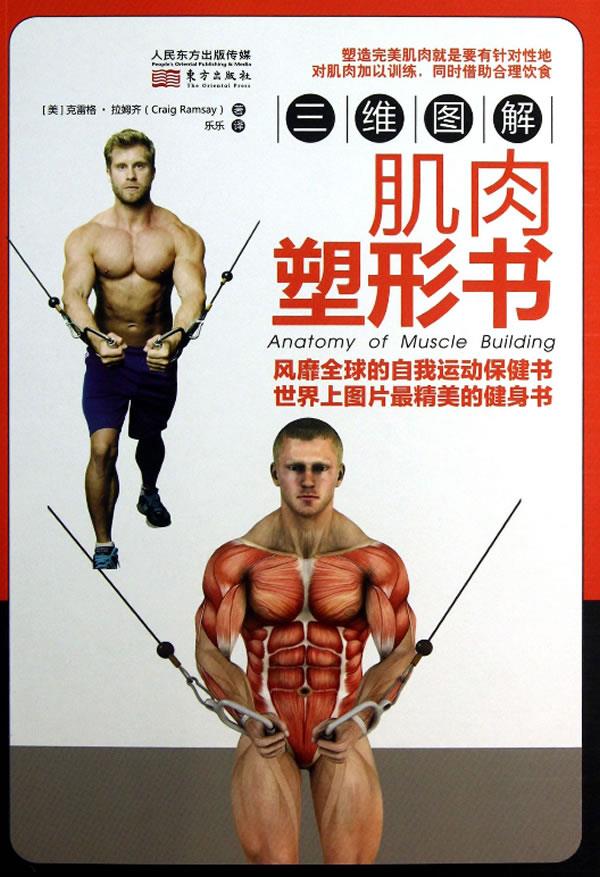三维图解:肌肉塑形书 【正版书籍】