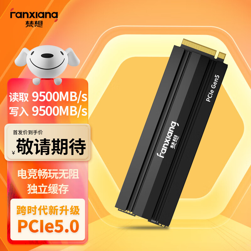 梵想（FANXIANG）1TB SSD固态硬盘 M.2接口NVMe协议 PCIe 5.0 独立缓存高速游戏电竞 S900读速高达9500MB/s
