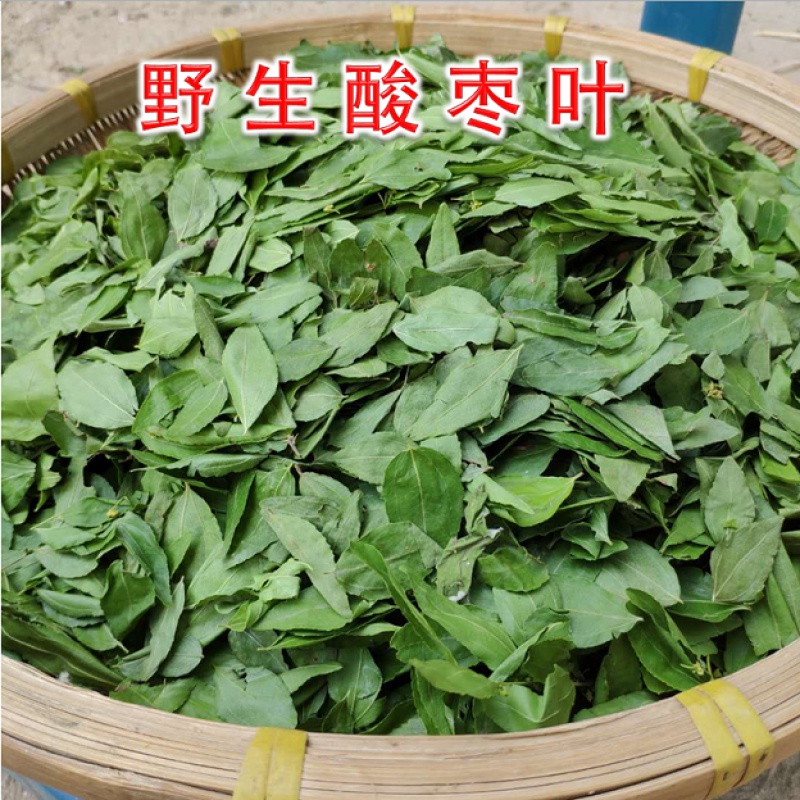 2023春季2酸枣叶茶嫩叶新货酸枣叶茶养生茶100g 250g