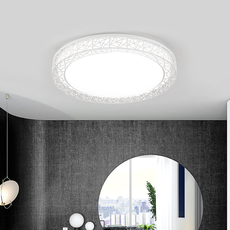 海邦 吸顶灯现代简约创意卧室灯温馨浪漫圆形小客厅灯大气鸟巢灯具 白色-37cm-24瓦-白光-送LED光源