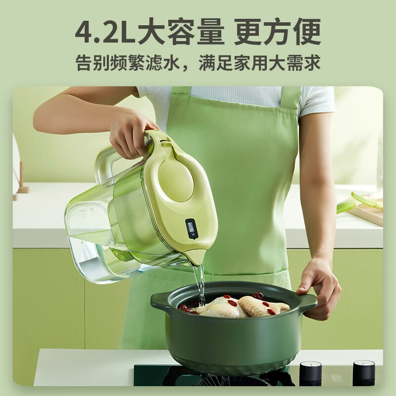 倍世（BWT）净水壶滤水壶净水器家用 欧洲去水垢滤芯 益家4.2L大容量厨房客厅通用 【去水垢-加强版】1壶1芯