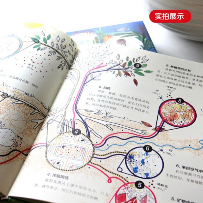 我的微生物朋友