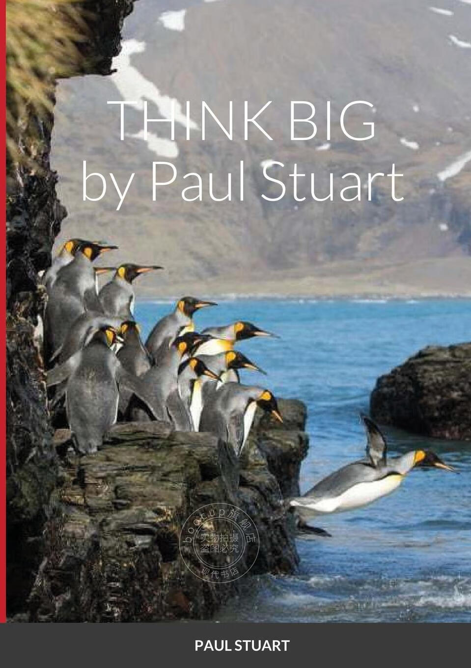 【2周达】【预售 按需印刷】think big