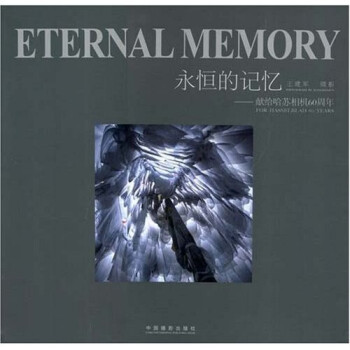 永恒的记忆:献给哈苏相机60周年 王建军