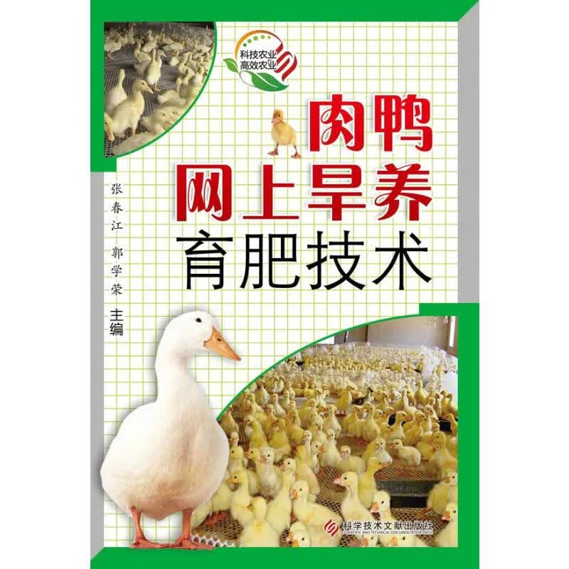 肉鸭网上旱养育肥技术