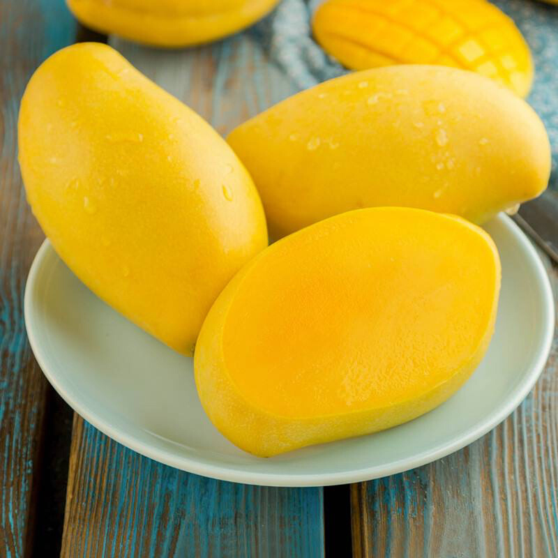 广西高乐蜜芒果