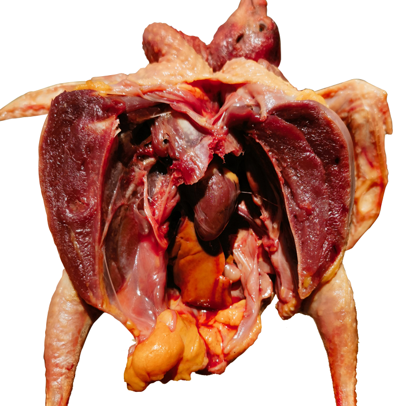 ɭ��ũɢ������5�������ϸ�����ɱ�����������3��ũ���ز����ʸ����� 3�������ϸ�3ֻ����1.9�� 120Ԫ