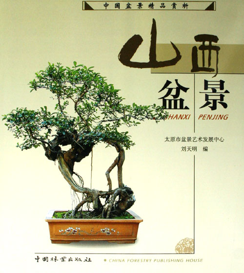 山西盆景 家居 书籍
