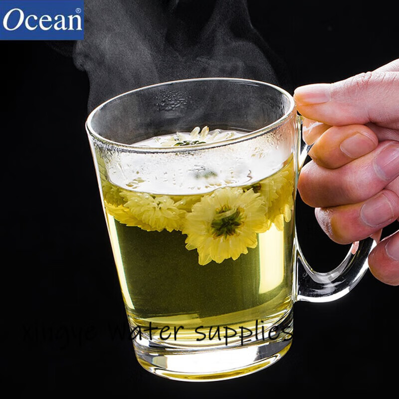 鸥欣进口玻璃茶杯耐热泡茶杯带把家用待客水杯加厚大容量茶杯喝绿茶杯 肯雅把杯320ml*6只+托盘