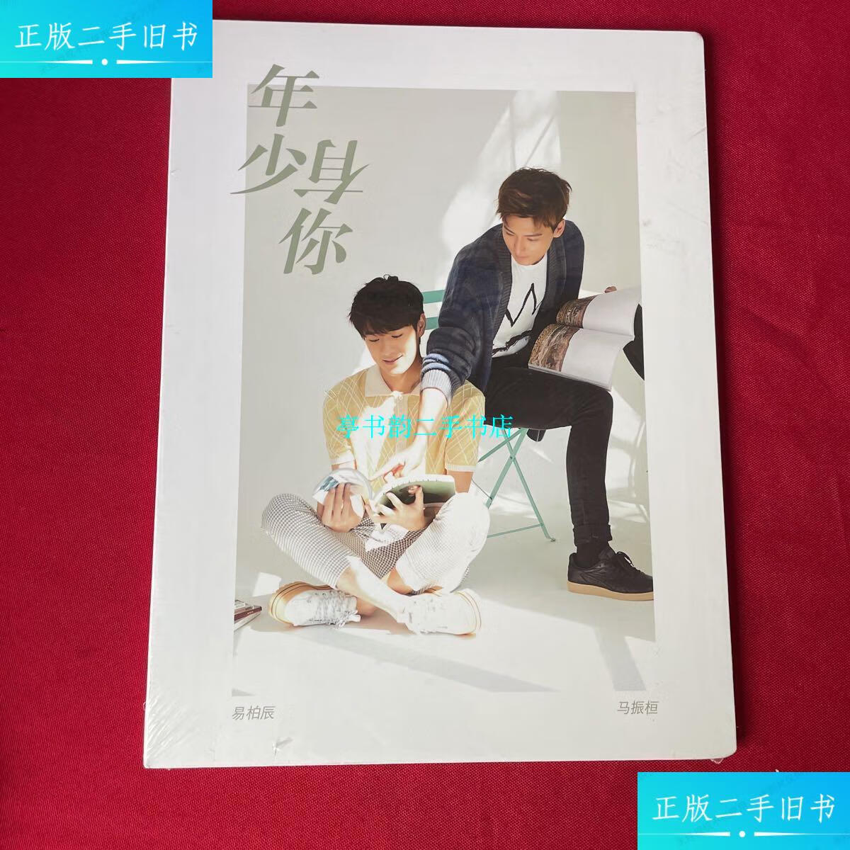 【二手9成新】年少有你 易柏辰 马振恒 偶像写真书 全新未开封