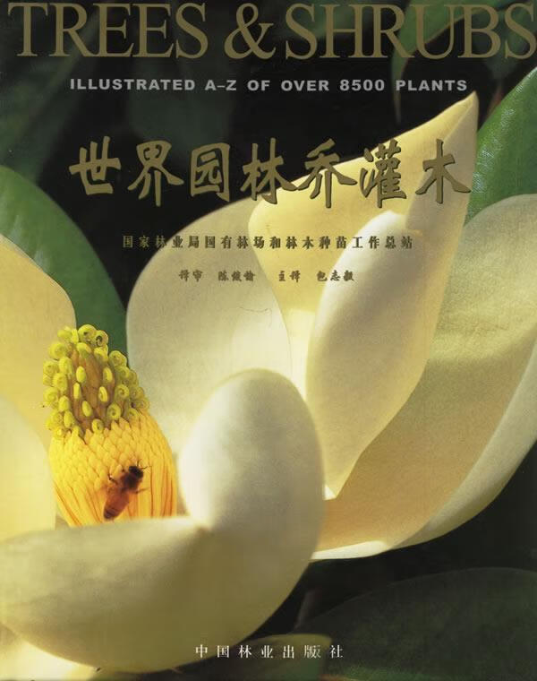 世界园林乔灌木 (美)艾尼·瓦逊(ernie wasson),(澳)托尼·罗德(tony