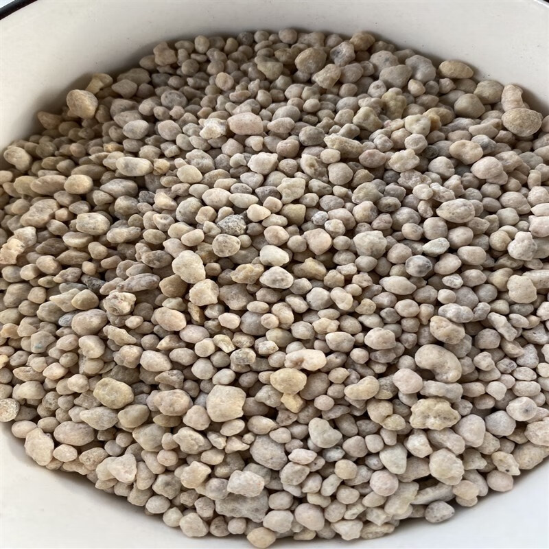 多年生大花直立天竺葵花苗种子直立蝴蝶梅四季种开花阳台庭院盆栽