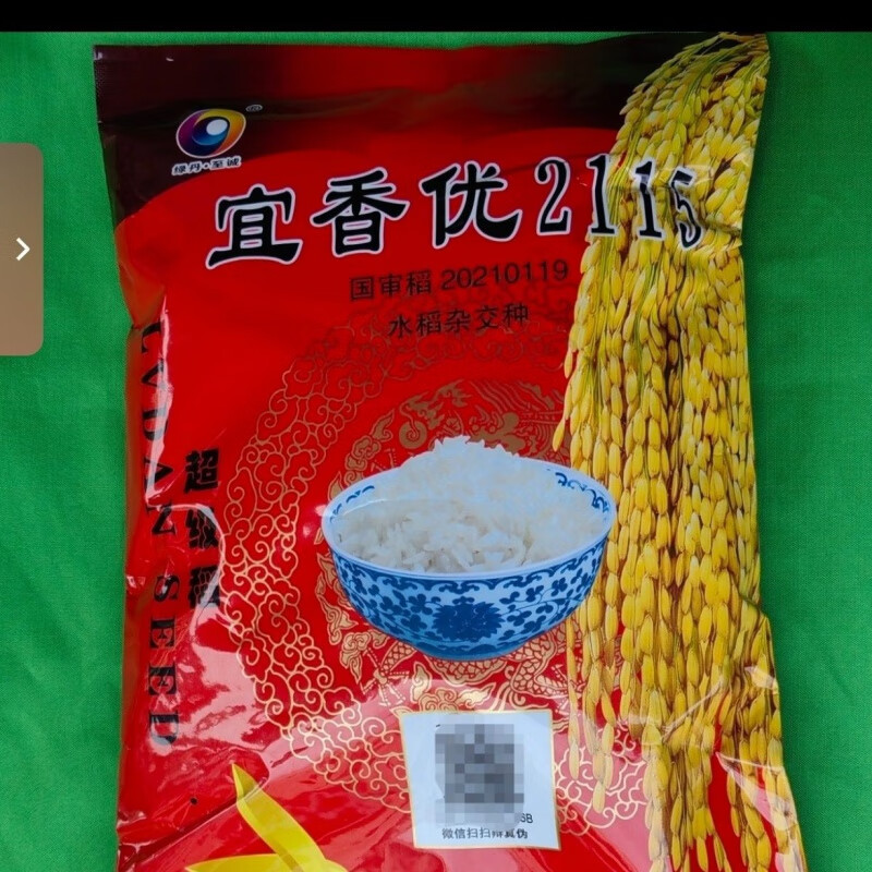 细辛48小时发货甜香优2115宜香优2115杂交水稻发种子大粒长粒稻种浓香