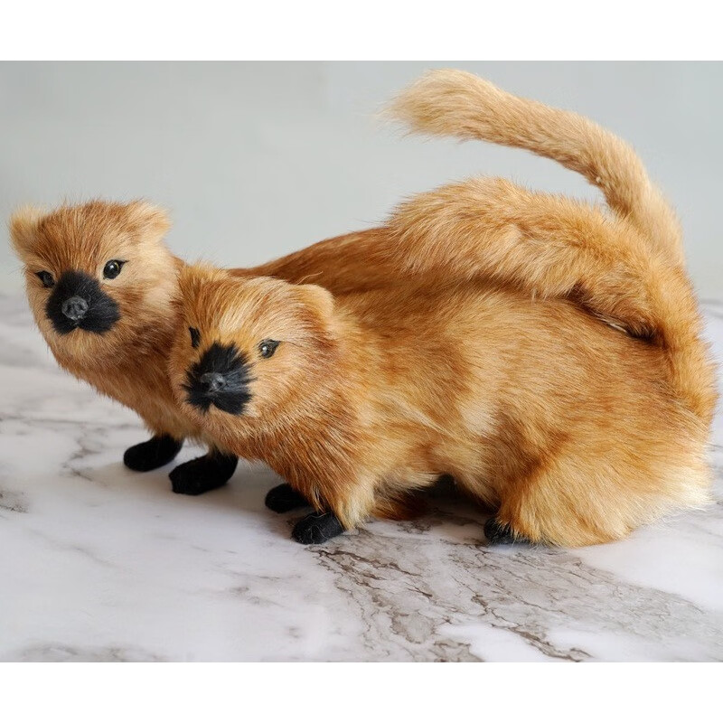 澳颜莱堂口黄家真身黄皮子仿真黄鼠狼黄鼬橱窗摆设道具毛绒兔毛摆件