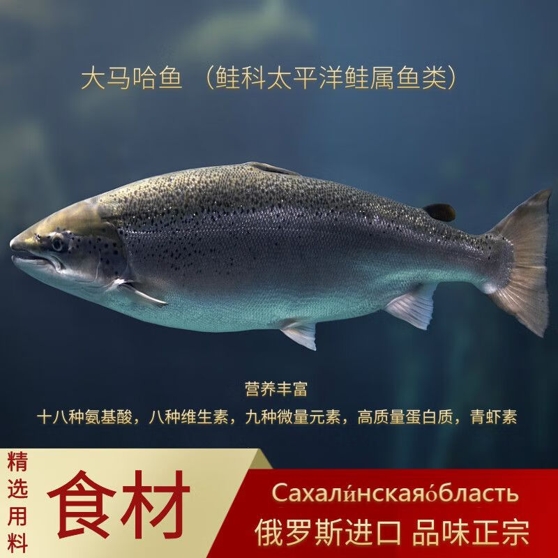 食芳溢俄罗斯熏鱼鱼干俄式特产鱼排鱼干进口大马哈鱼三文鱼零食品下酒