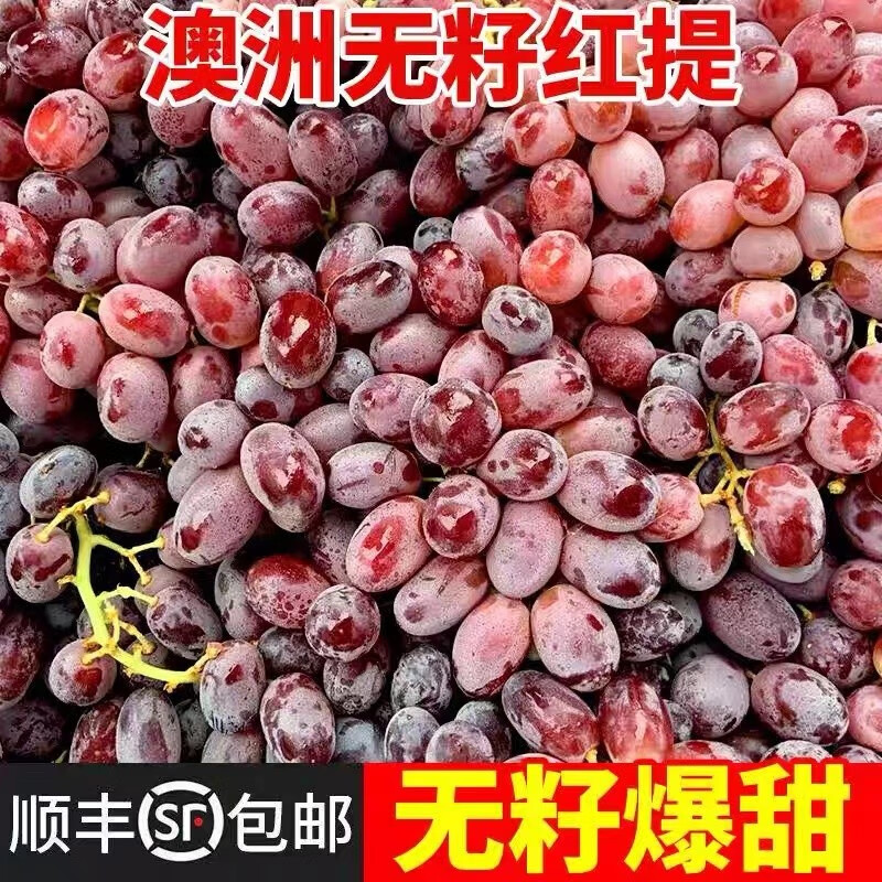 京东新品首发 2023-10-05 - 第30张  | 最新购物优惠券