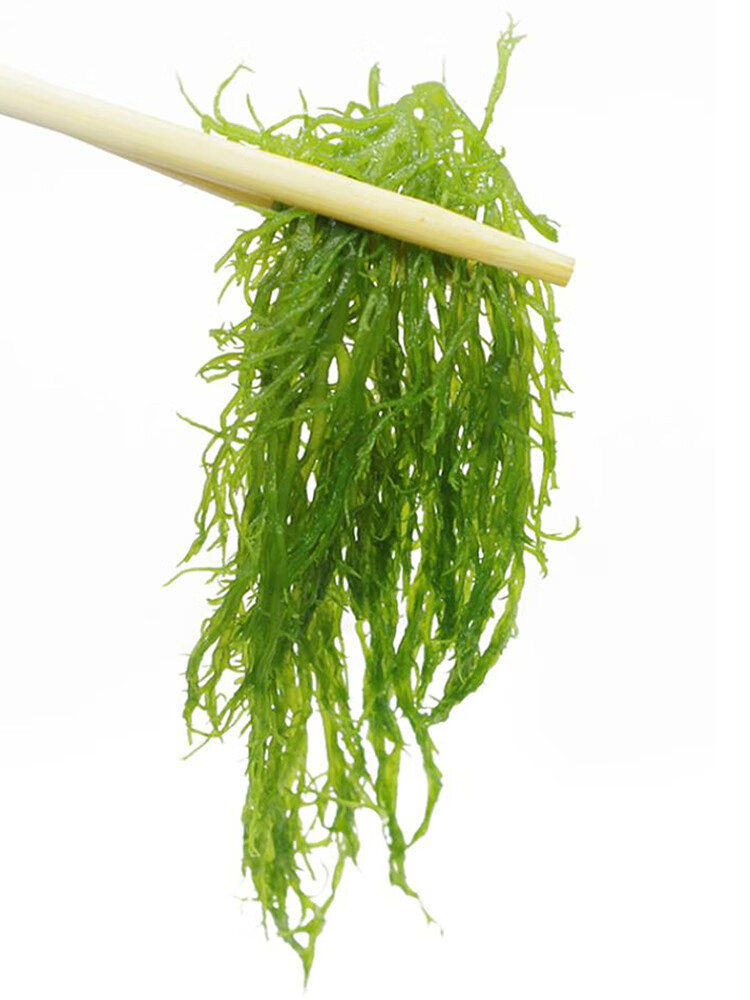 鲜有志广西北海龙须菜500*5袋共5斤产海藻菜海带新鲜凉拌菜春节年货