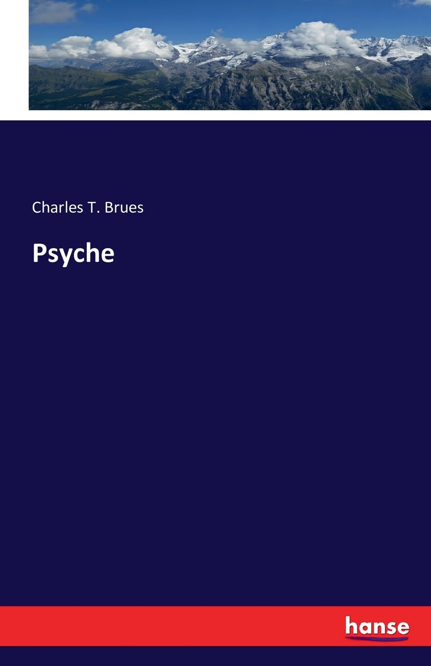 【预售 按需印刷】psyche