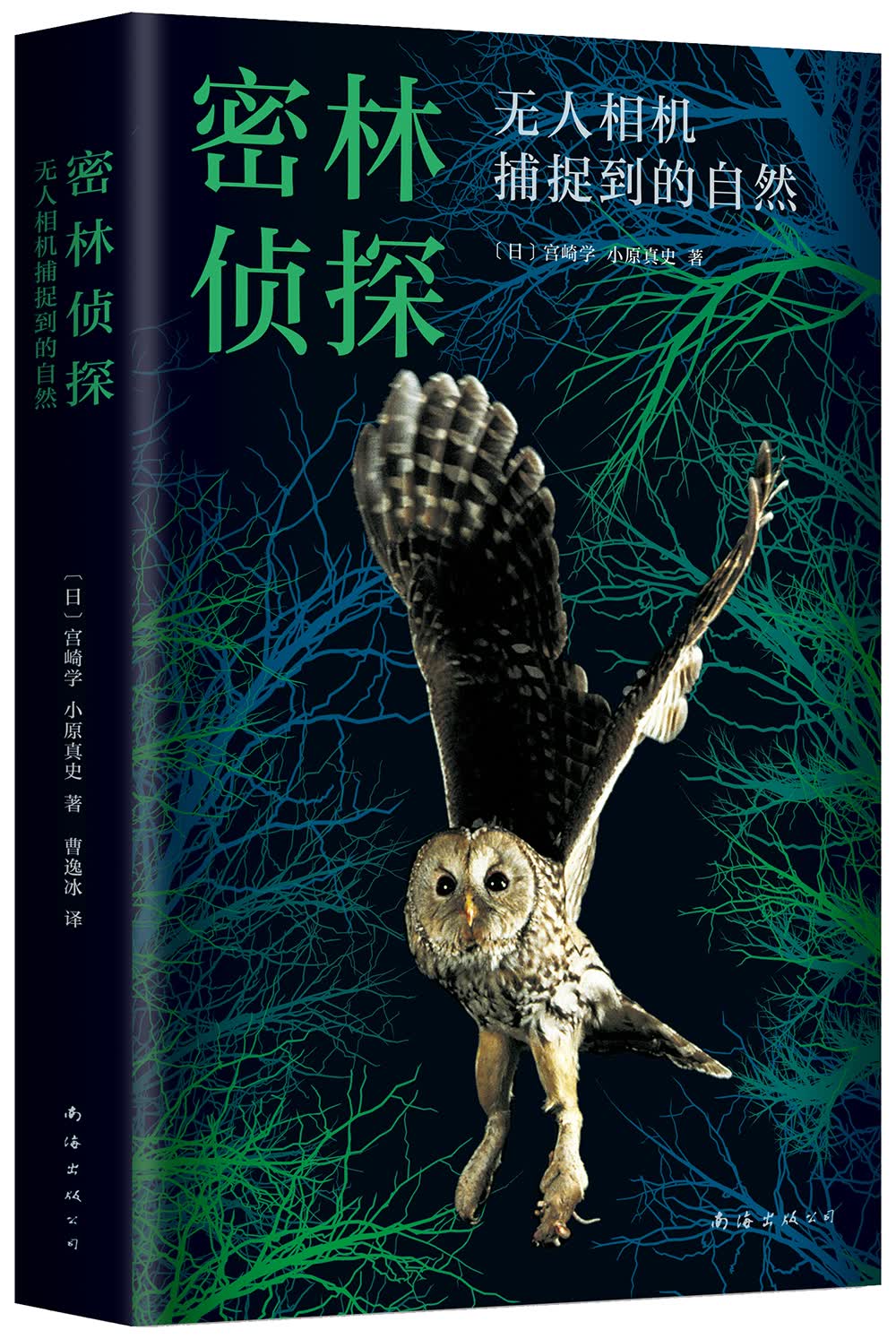 密林侦探
