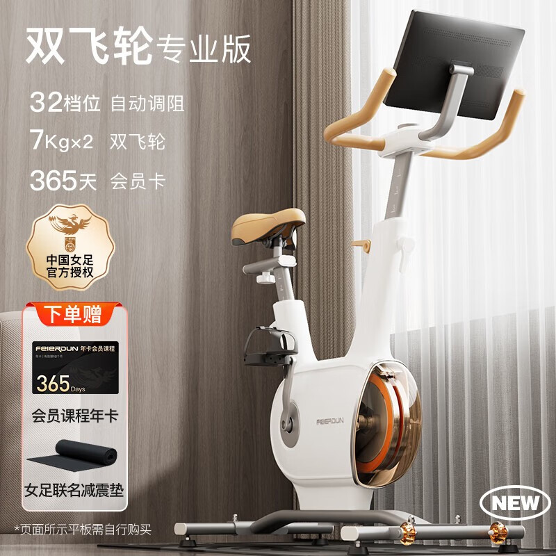 飞尔顿fed动感单车家用降噪室内磁控健身车运动自行车智能健身减肥器材 降噪款双飞轮白色