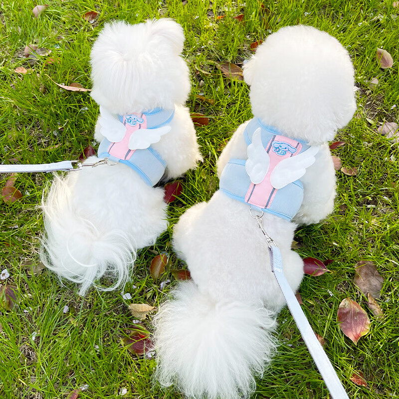 小狗狗牵引绳背心式遛狗绳小型犬幼犬泰迪比熊博美牵引绳宠物沧海