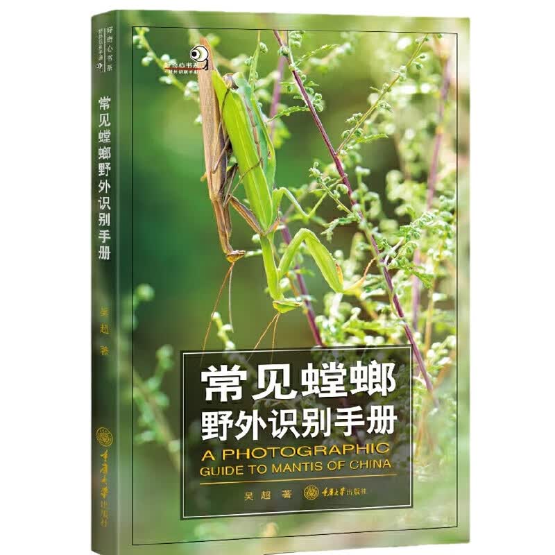 常见螳螂野外识别