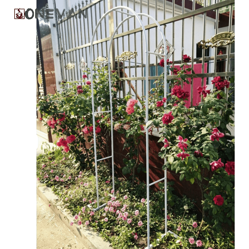 室外拱门花架 拱门爬藤花架铁艺拱门植物爬藤架花架镀锌钢管户外园艺葡萄月季金色绿色架子 白色宽0.8米高2米