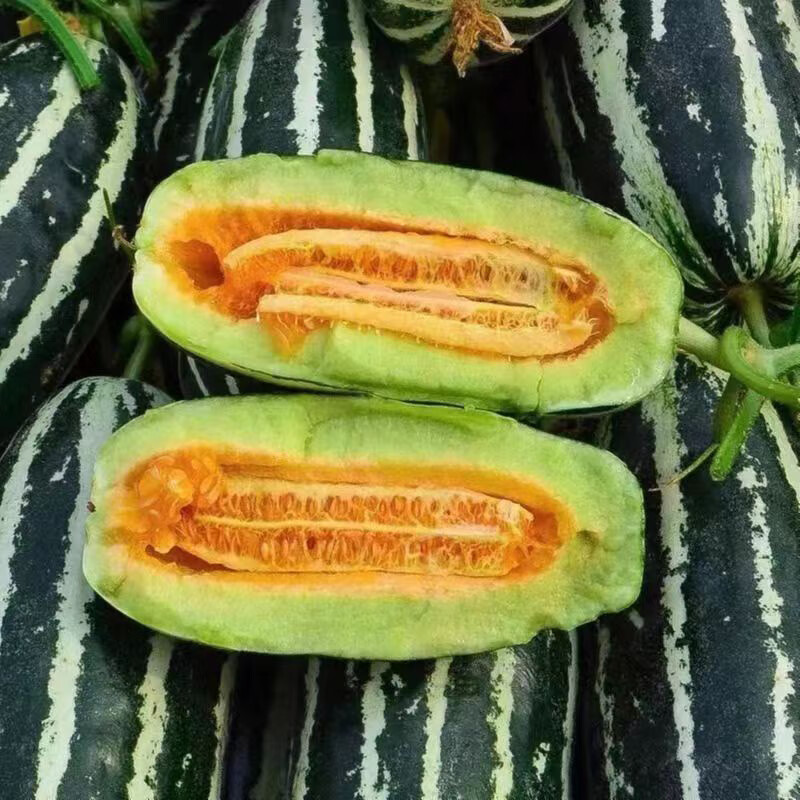 德骊嘉山东博洋9号新鲜水果甜瓜当季脆瓜整箱礼盒 3斤