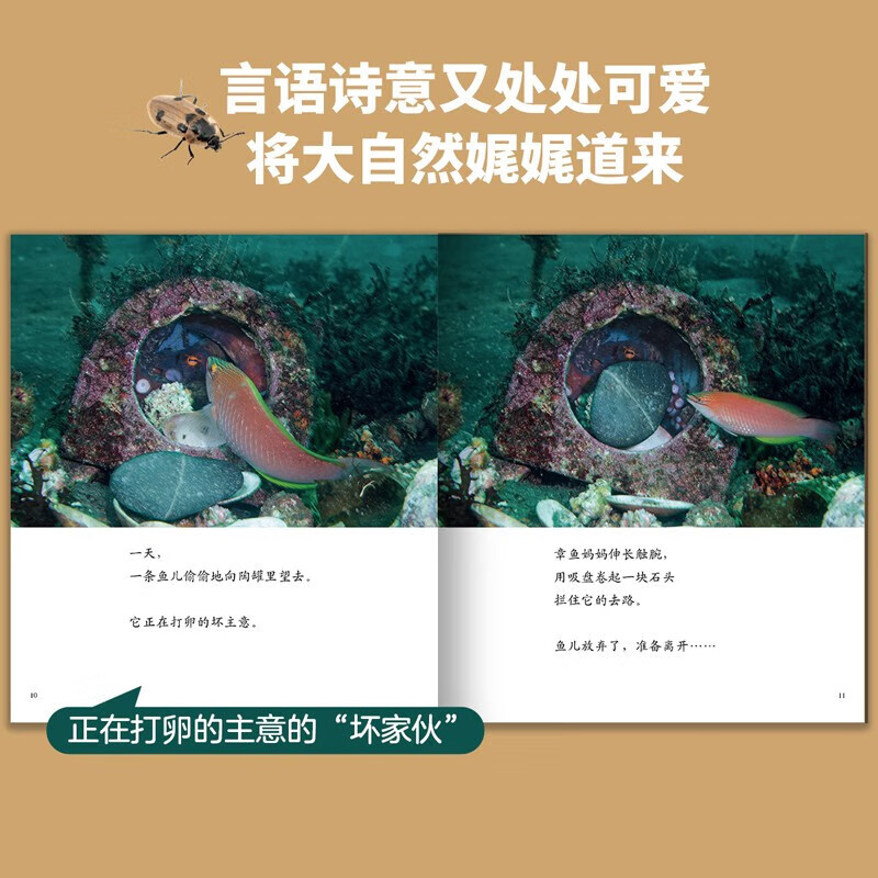 【无穷小亮推荐】生命的故事 赠音频 高清实拍昆虫动物科普百科全书12345辑+番外篇 赠音频 纸上纪录片自然科普儿童绘本 幼儿园动物世界3-6-8-10岁 人民日报推荐官方正版省钱卡图书卡 生命的故事