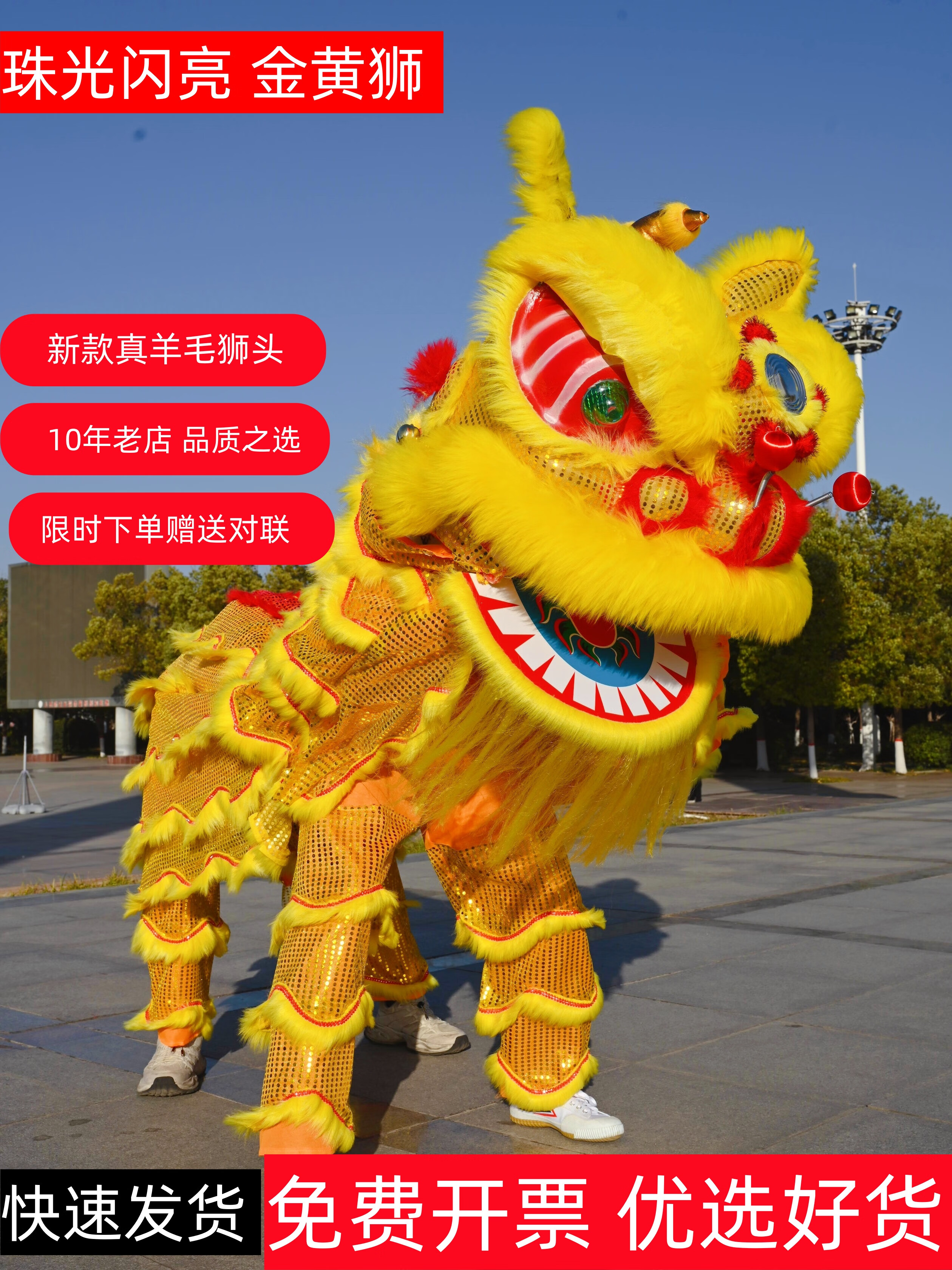 茵卡布新款双人舞龙舞狮道具羊毛南狮醒狮舞狮子服装狮子头表演整套