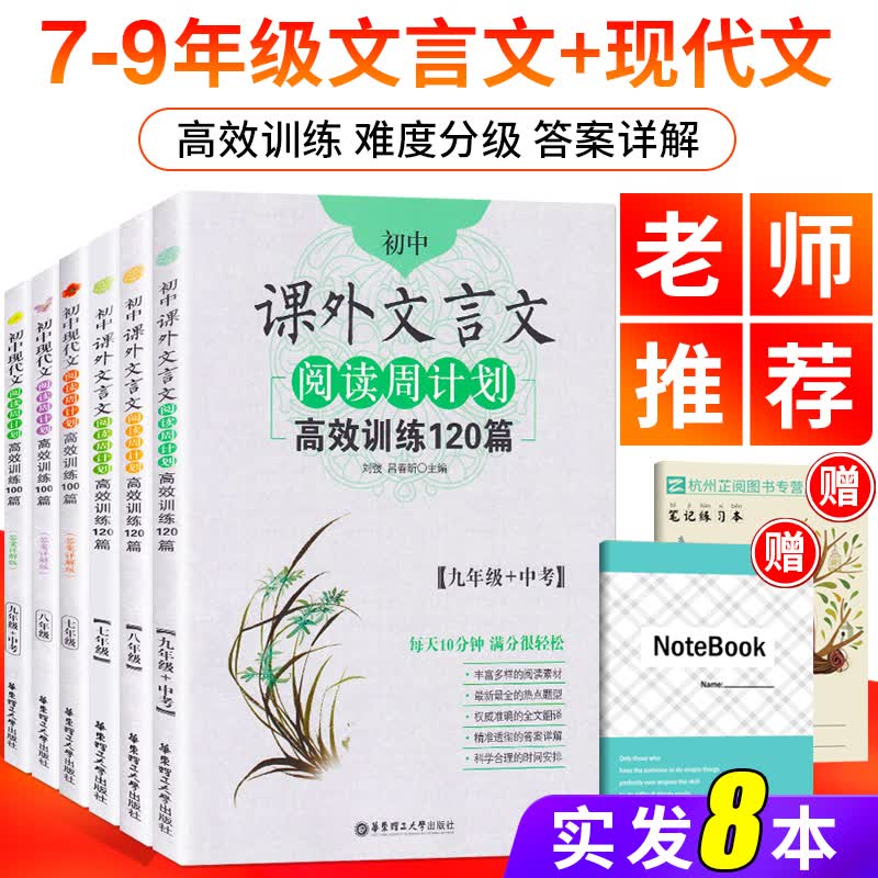 共8本初中文言文阅读周计划高效训练100篇+现代文阅读周计划高效训练100篇 答题技巧中考人教版