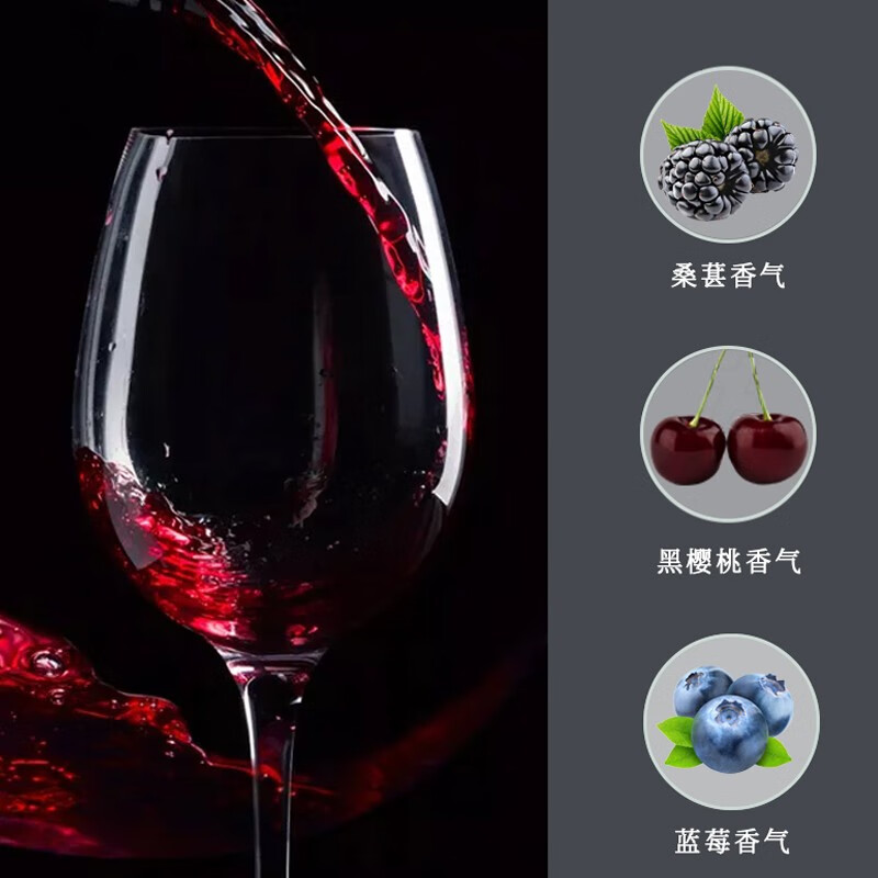 天帕智利中央山谷原瓶原装进口 经典梅洛干红葡萄酒红酒13.5度750ml 精品2支装