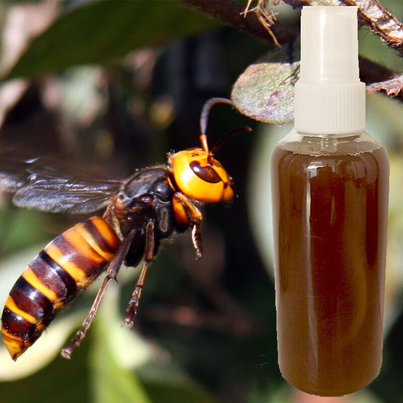 喜普_马蜂诱蜂水金环胡蜂诱蜂水金环蜂招蜂 120克 虎头蜂诱蜂水 虎头