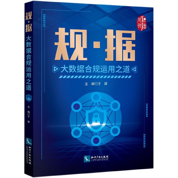 规据(大数据合规运用之道)