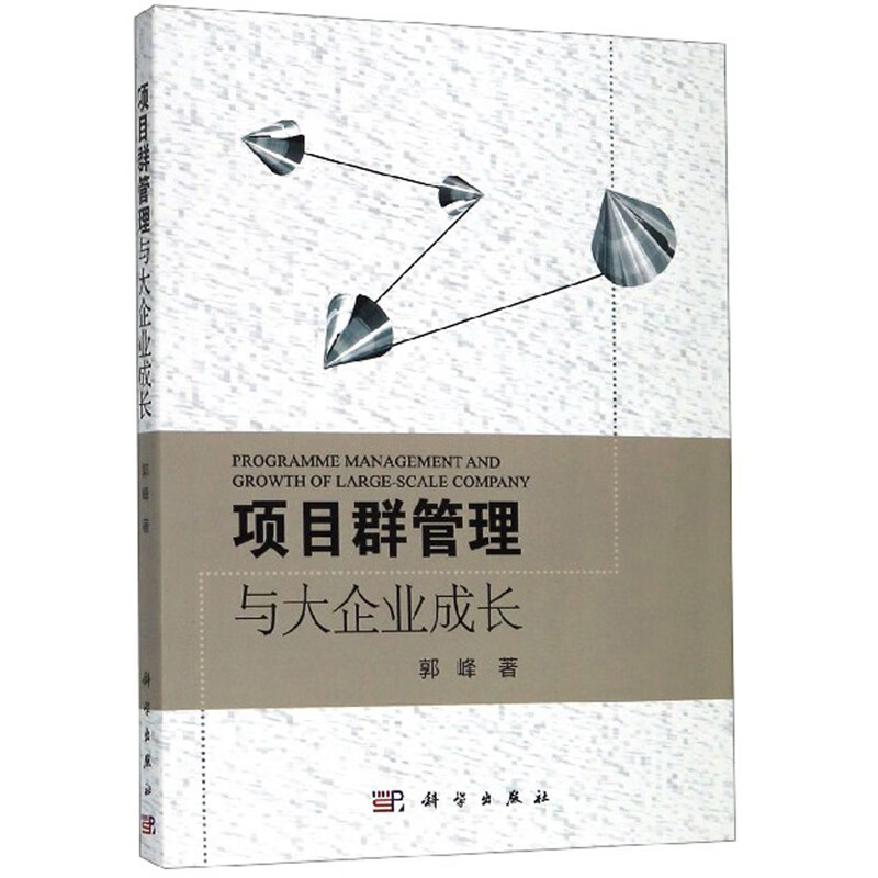 项目群管理与大企业成长