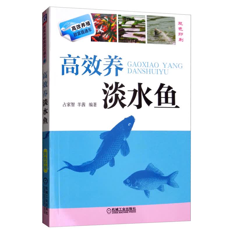 [正版图书]高效养淡水鱼