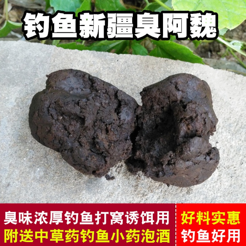 钓鱼新疆臭阿魏 阿巍钓鱼诱饵专用钓饵打窝料小药钓鱼泡酒诱鱼料 新疆